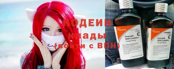 прущий лед Богданович