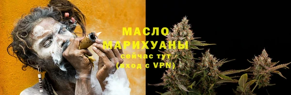 прущий лед Богданович