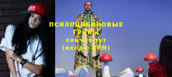 MDMA Богородицк
