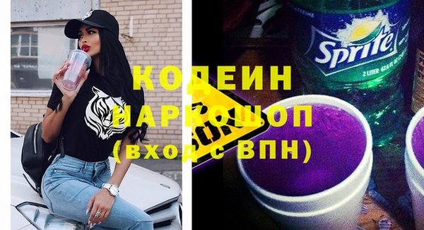 прущий лед Богданович
