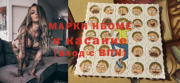 прущий лед Богданович