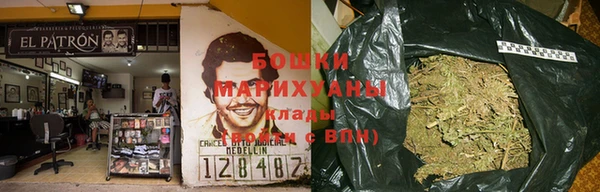 прущий лед Богданович
