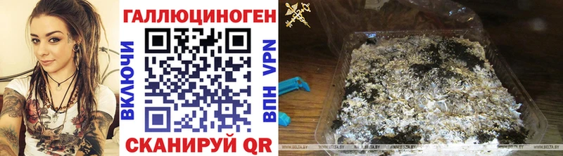 Псилоцибиновые грибы мицелий  это какой сайт  Красноармейск  гидра ссылка 